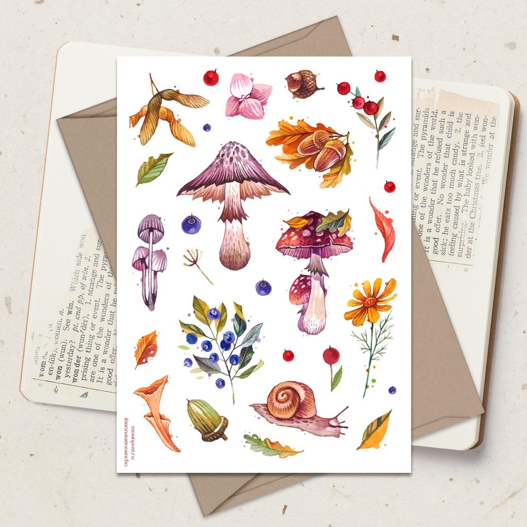 Стикепак «Дары леса»