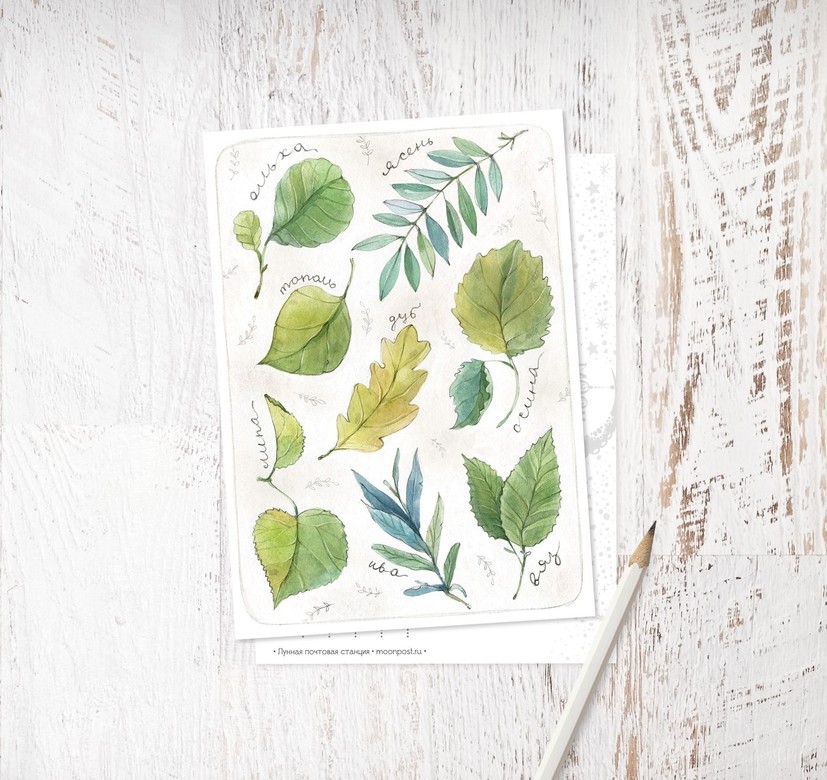 «Первый урок ботаники»