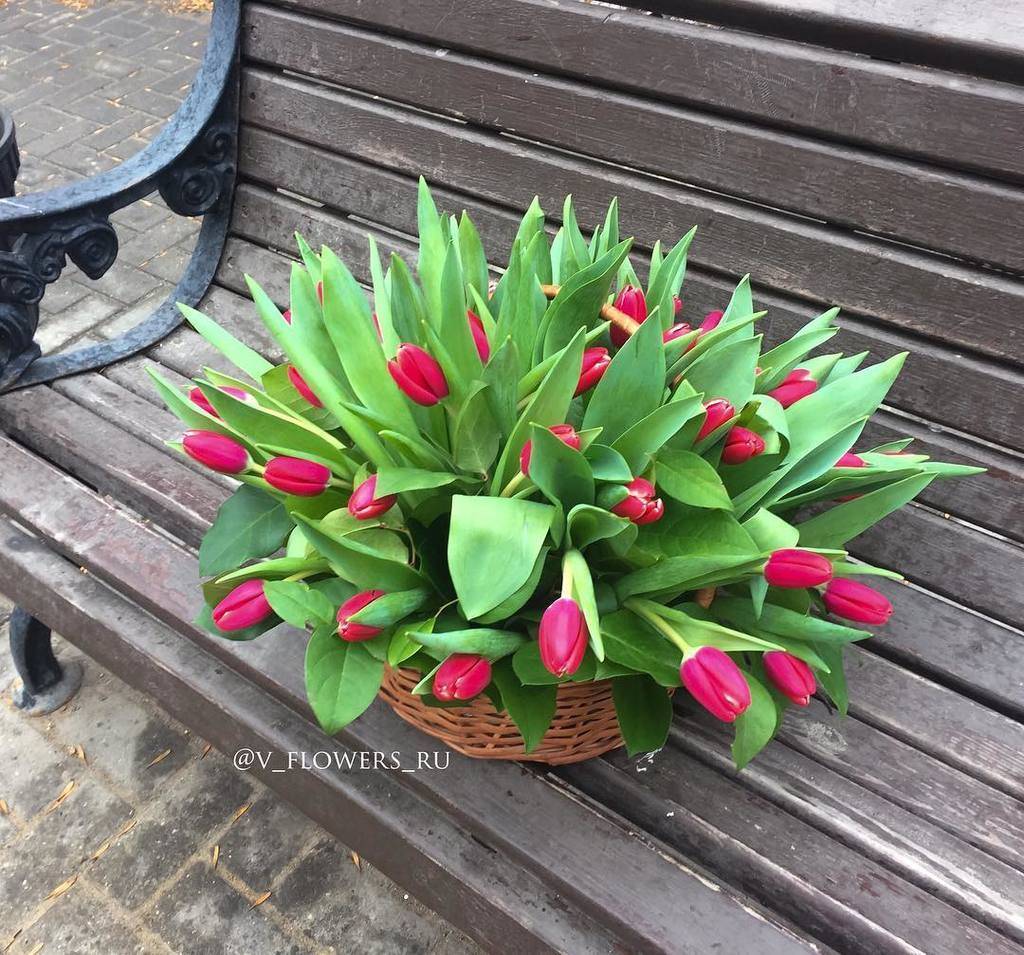 Корзина с тюльпанами