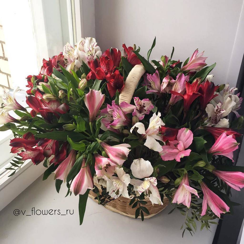 Корзина с альстромериями