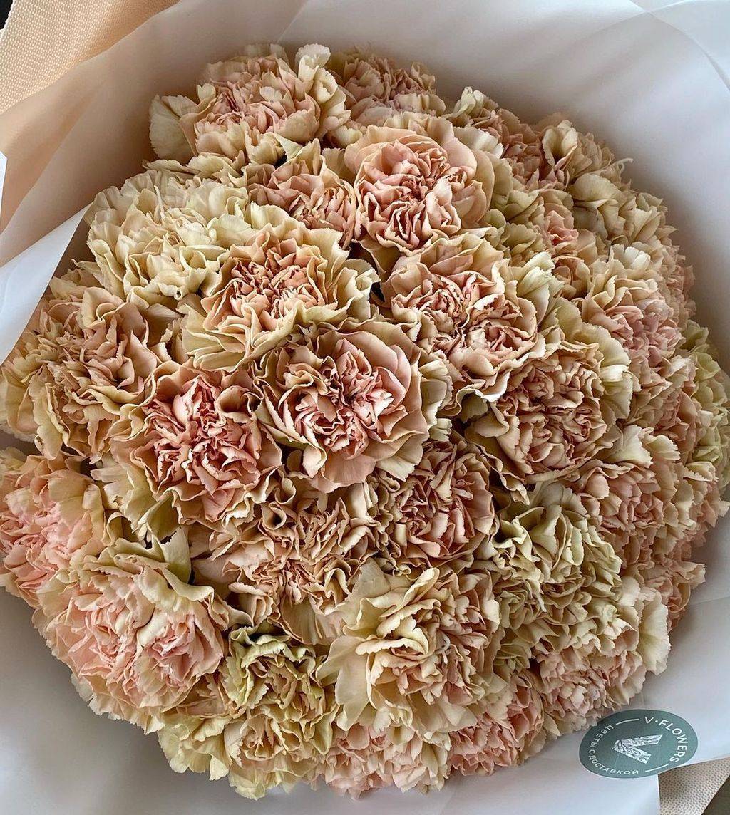 Букетная гвоздика бежевая