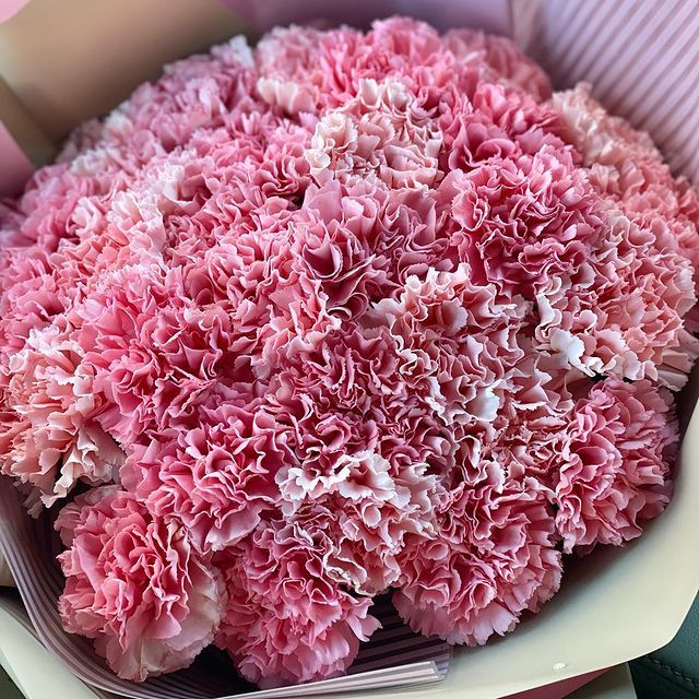 Букетная гвоздика розовая