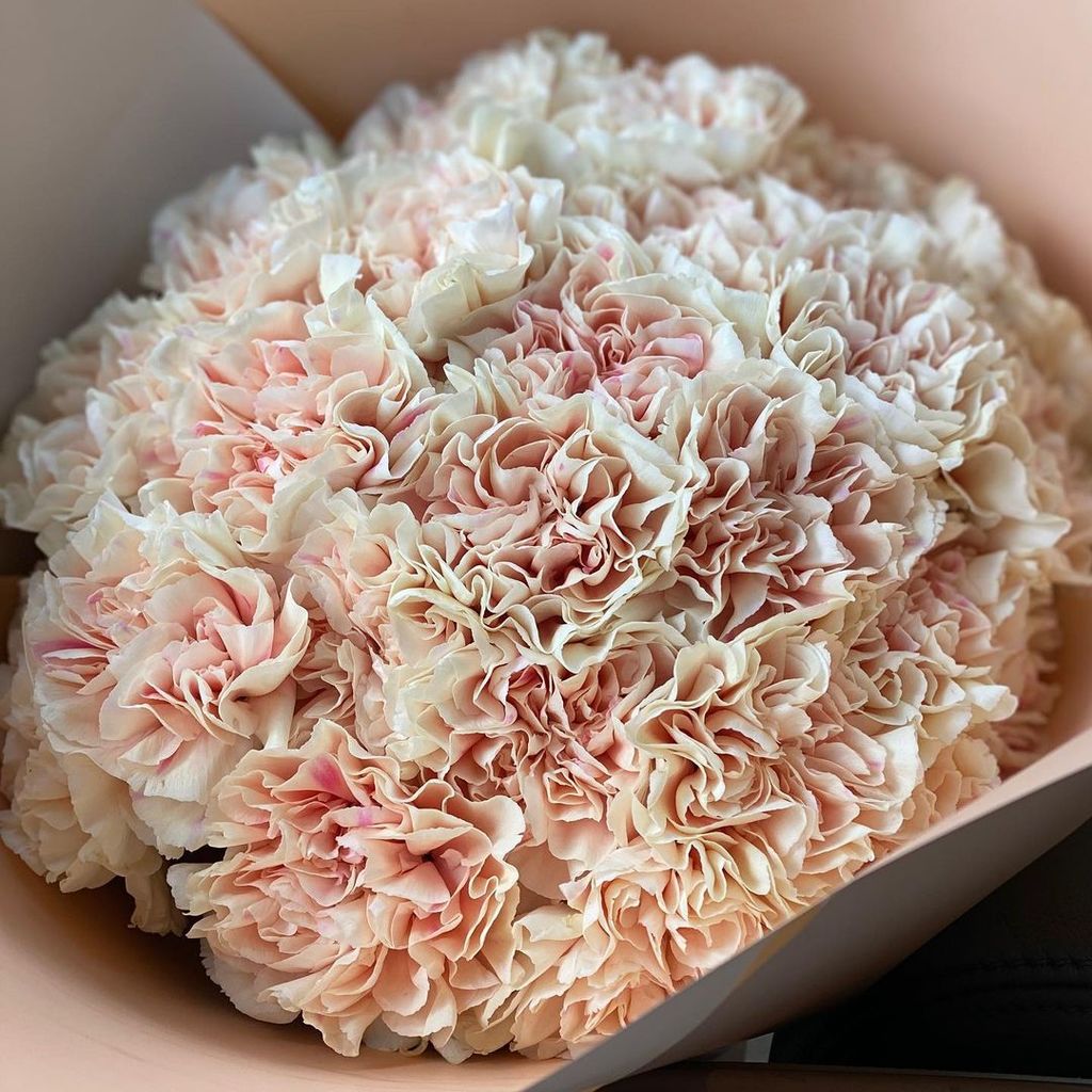 Букетная гвоздика кремовая