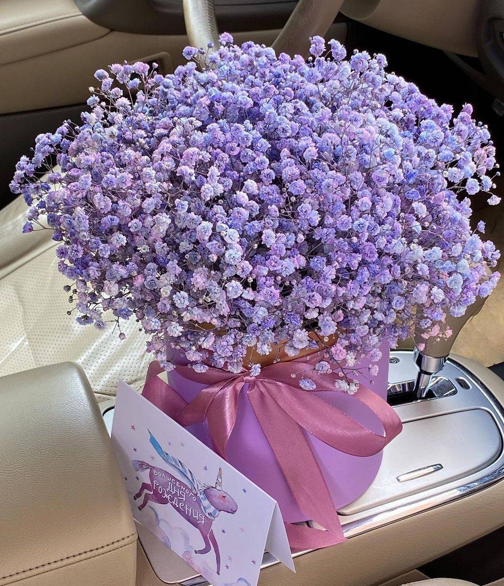 Коробка с гипсофилой