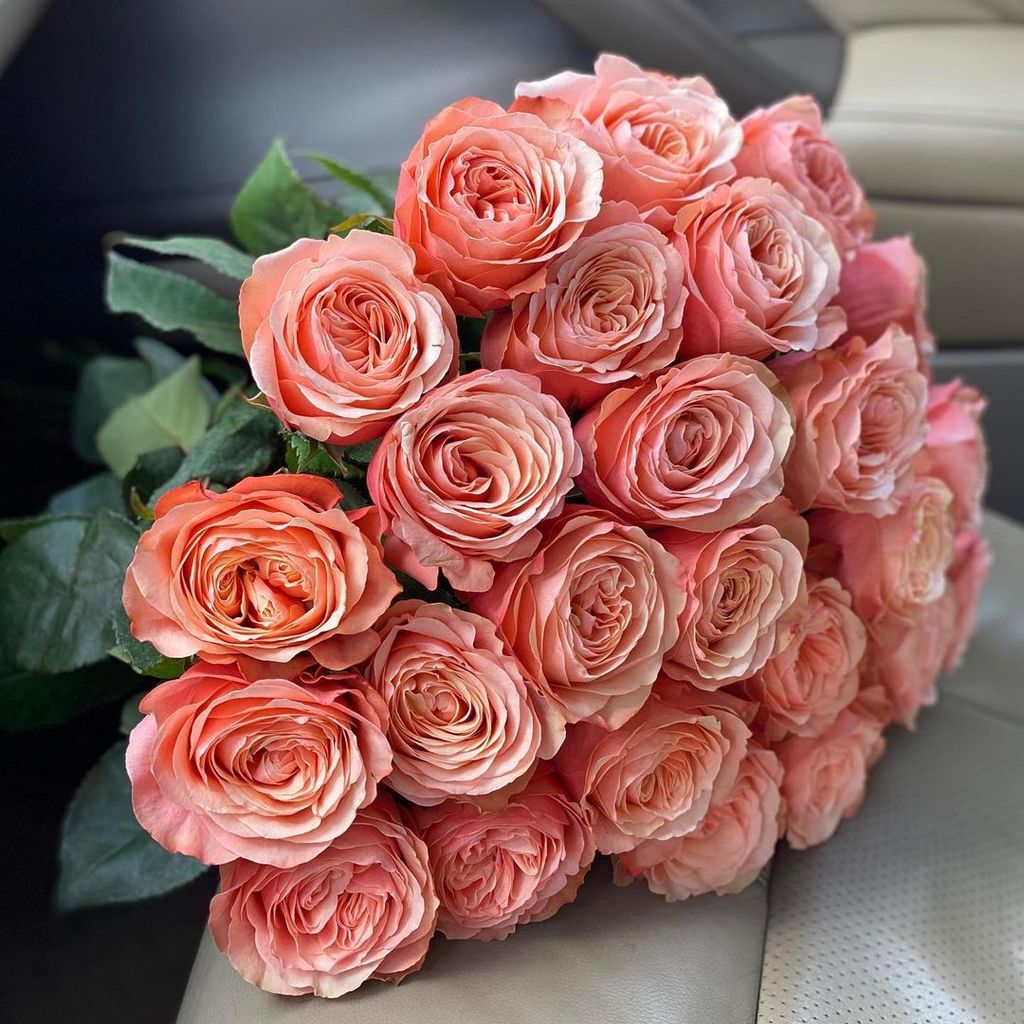 Розы пионовидные Kahala