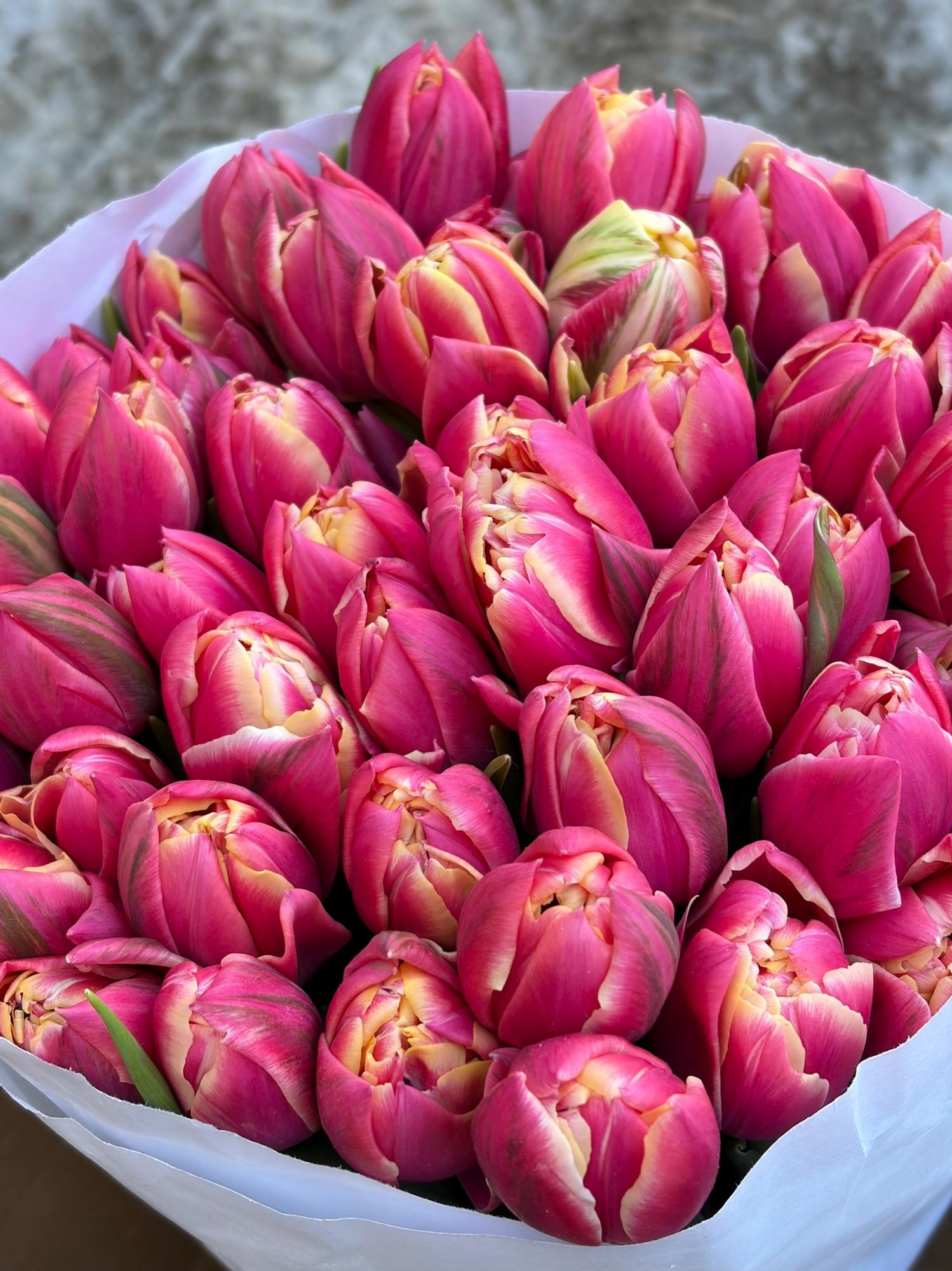 Тюльпаны пионовидные розовые