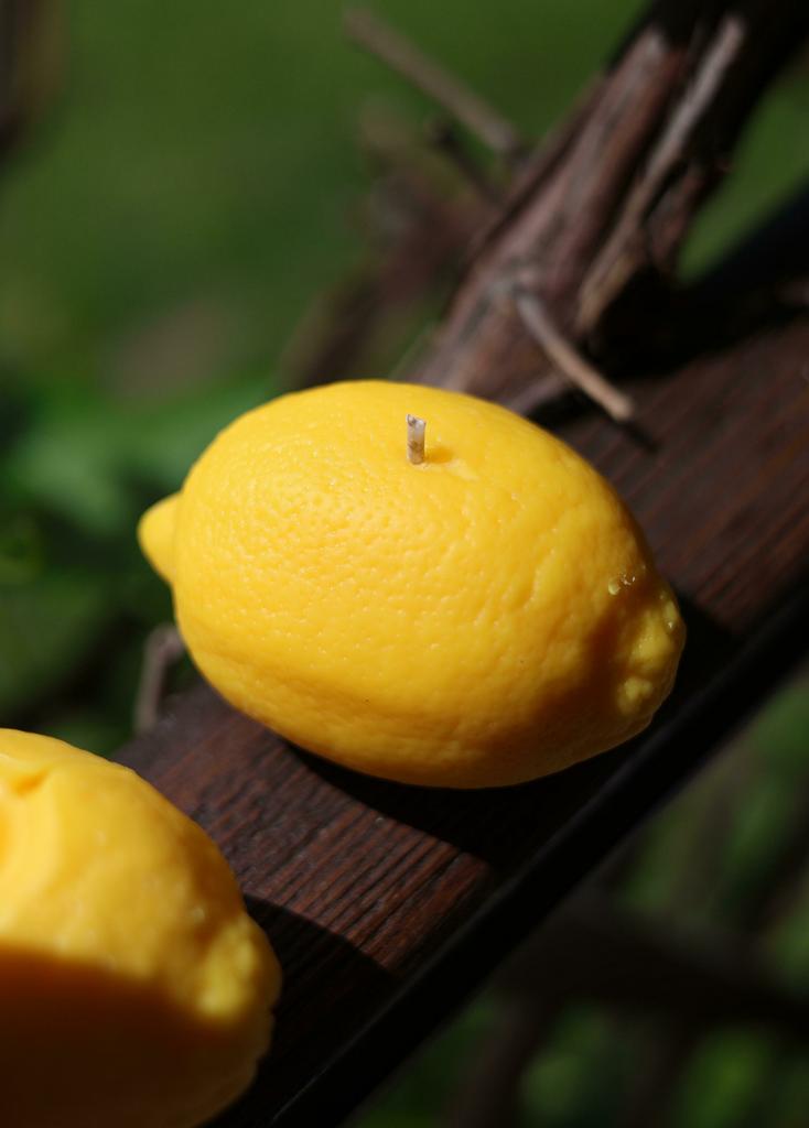 Gastro Candle | Набор Лимоны