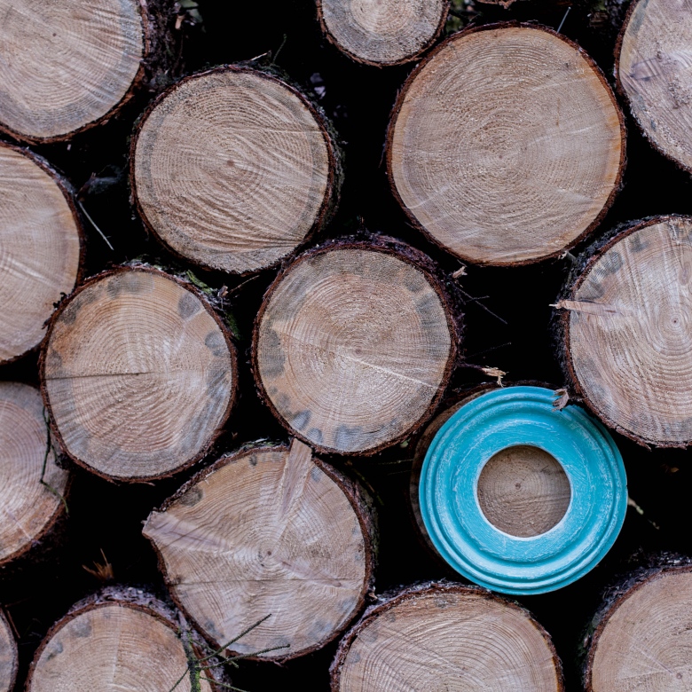 Круглая морская