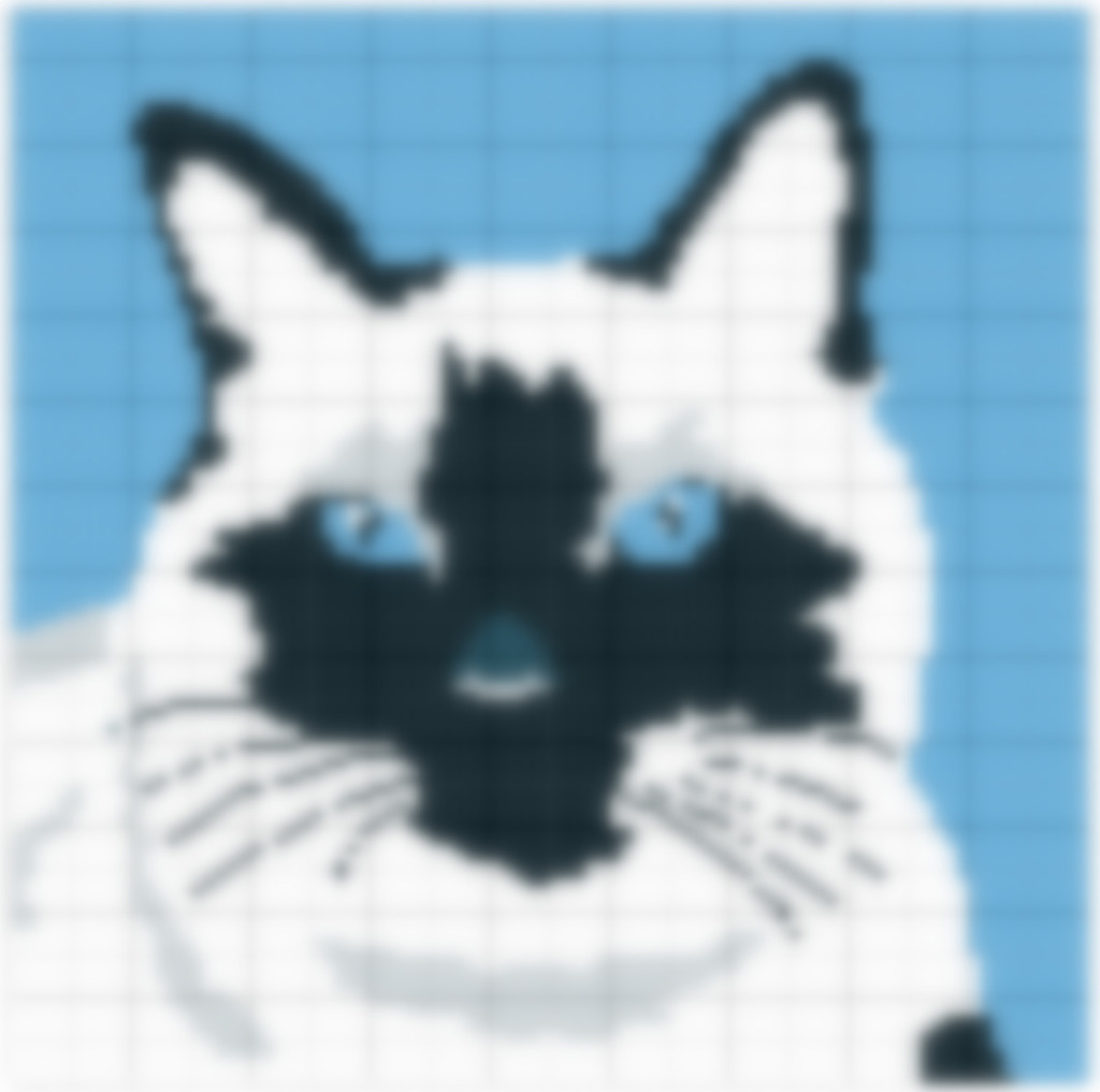 Сиамская кошка