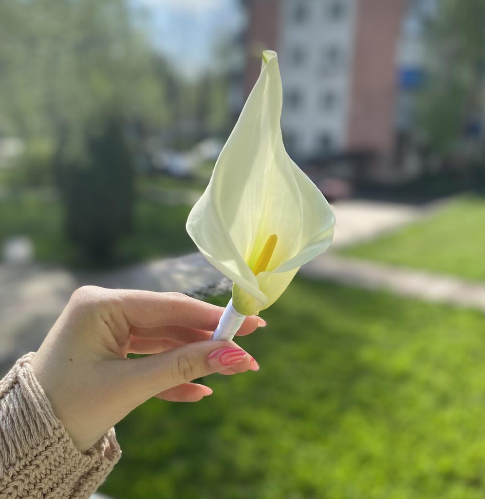 Бутоньерка