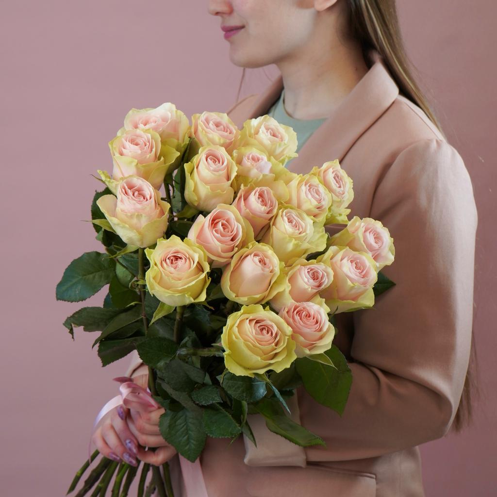 Эквадорская роза «Frutteto»