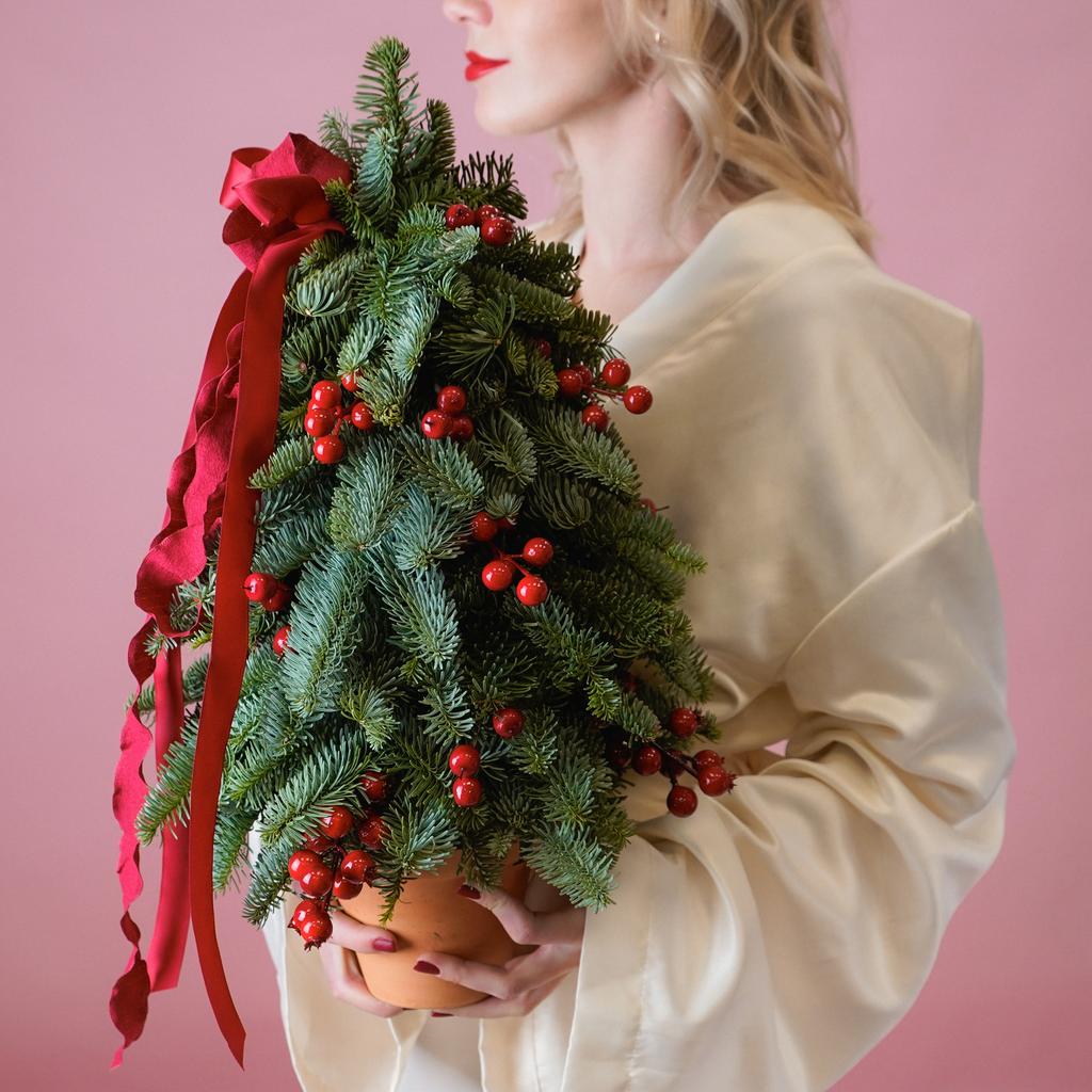 Ель «Красные ягодки»