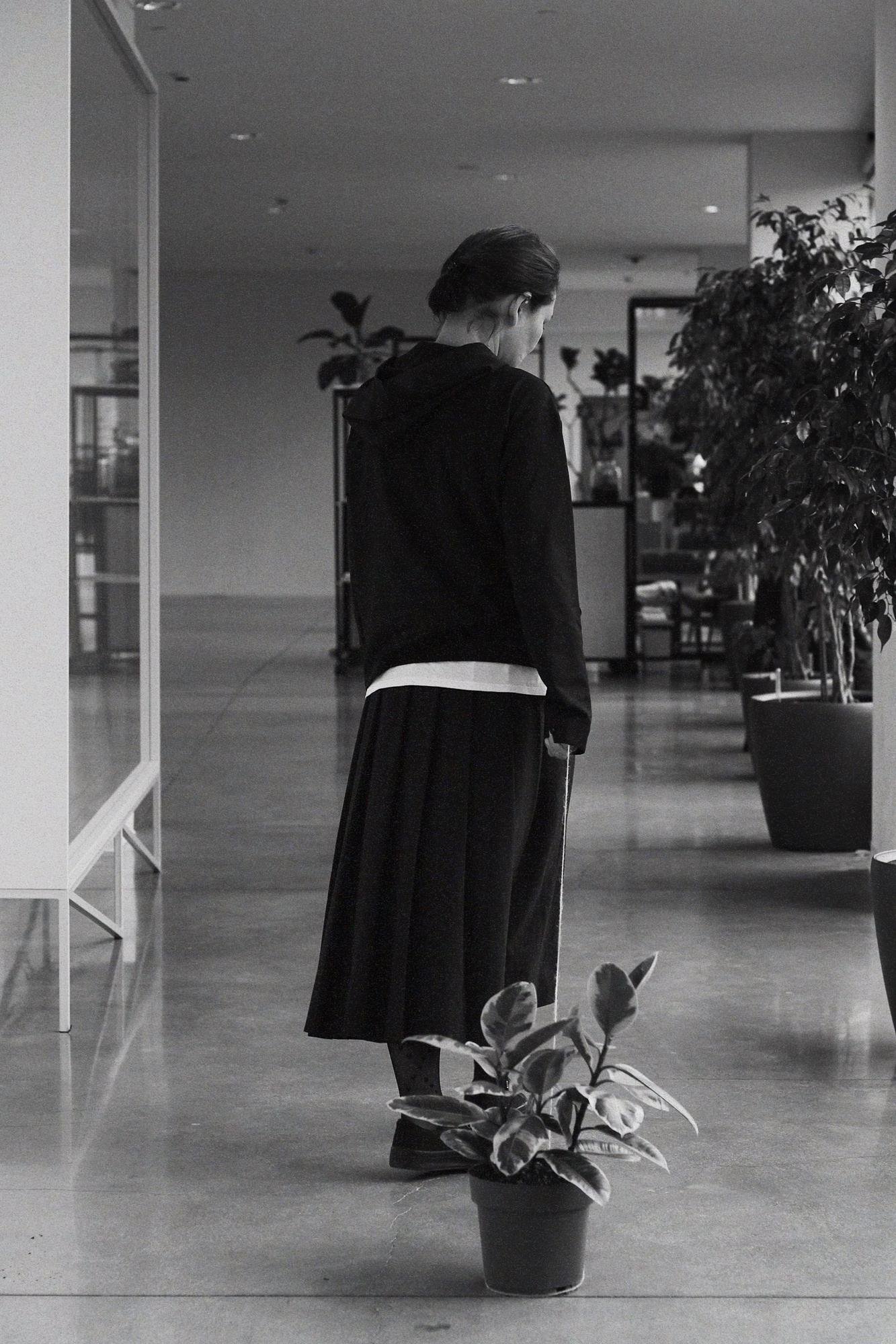 Фикус Тенеке