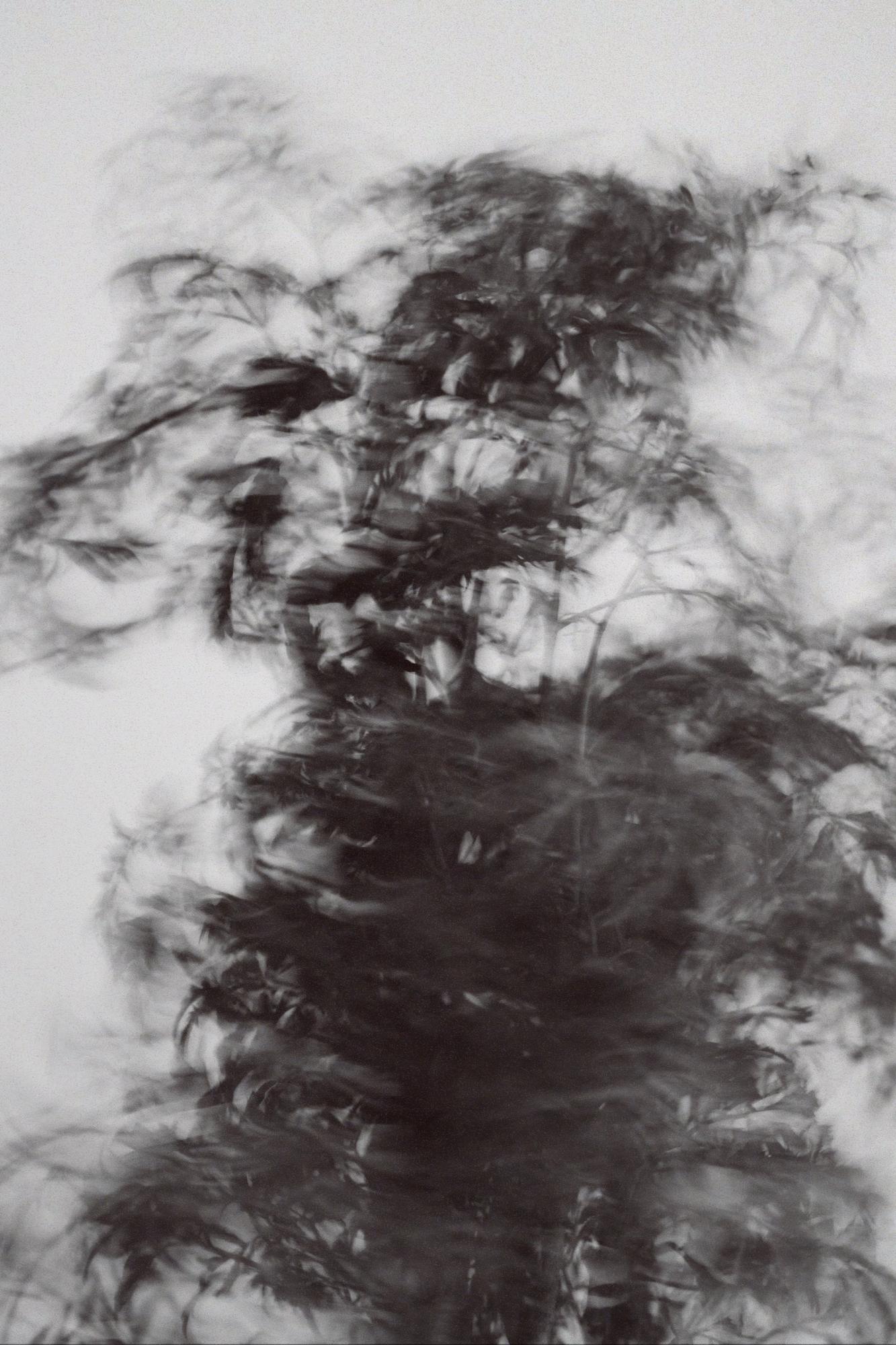 Полициас Минг