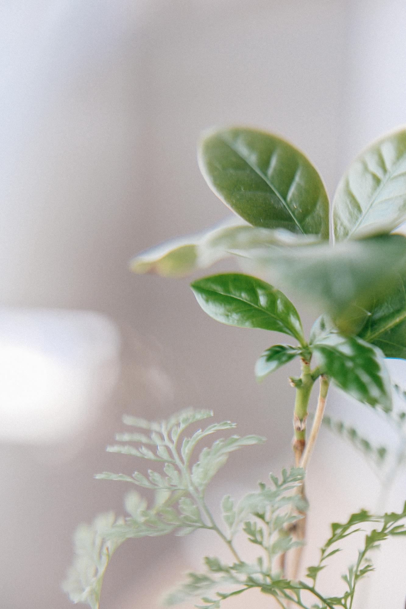 Онлайн консультация