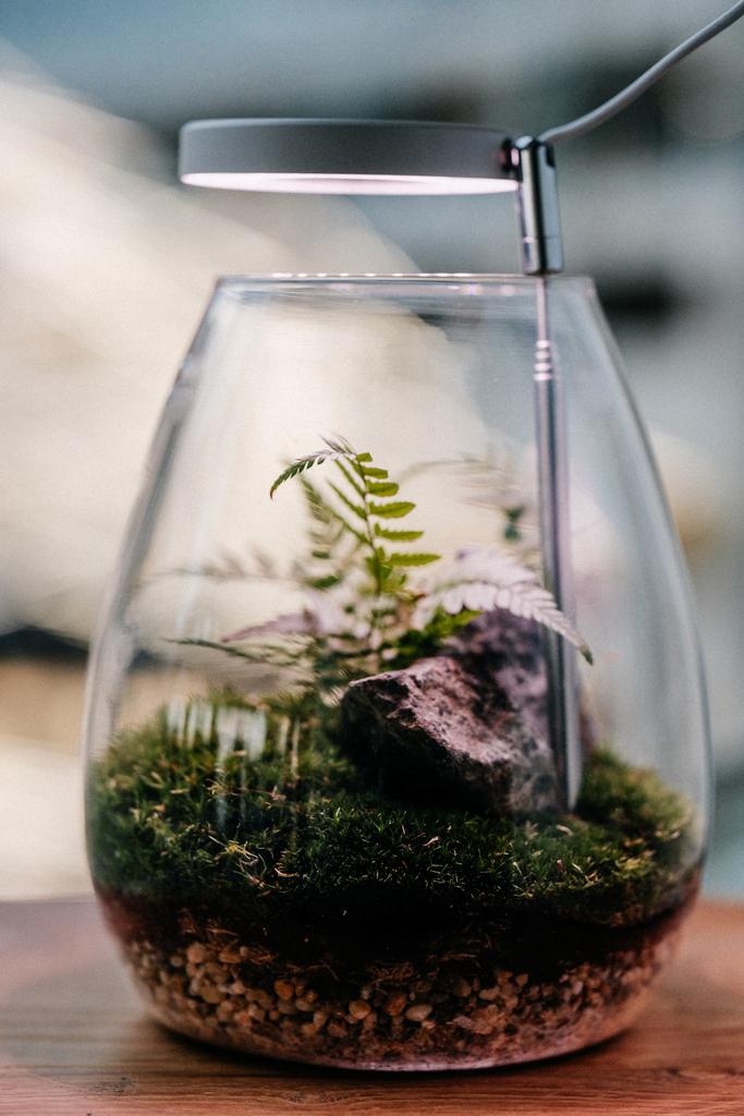 Комплексный уход