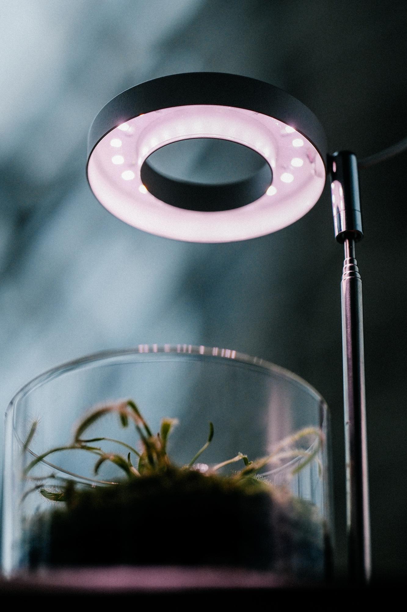 Разработка концепции озеленения.