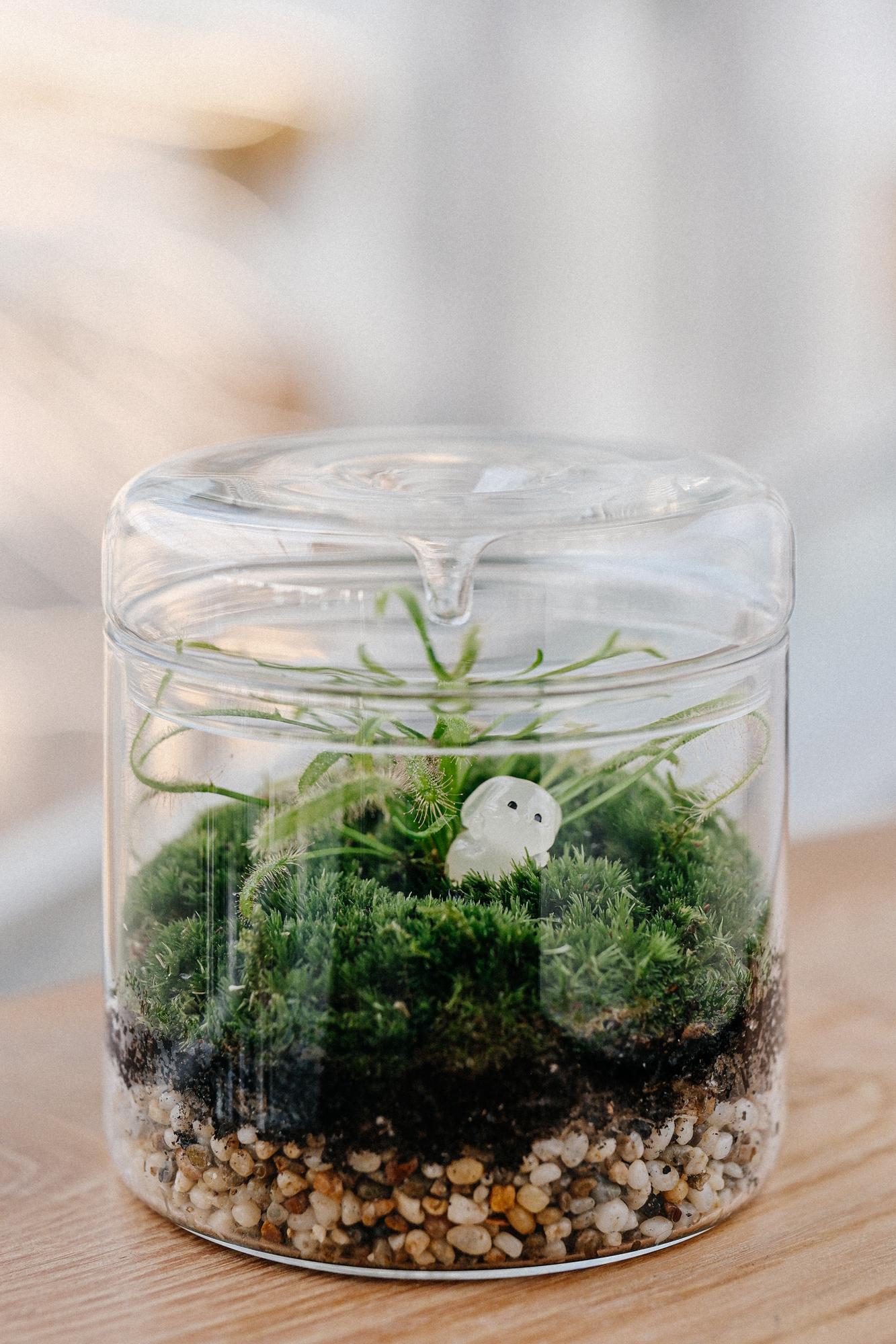 Моссариум biolark S