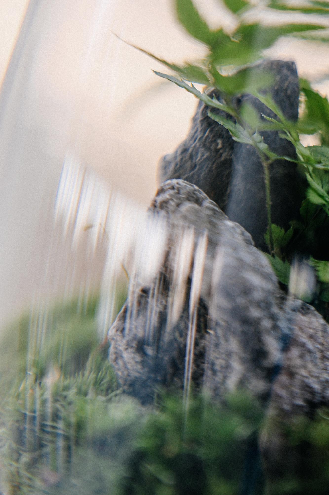 Моссариум "Пузырь 2"