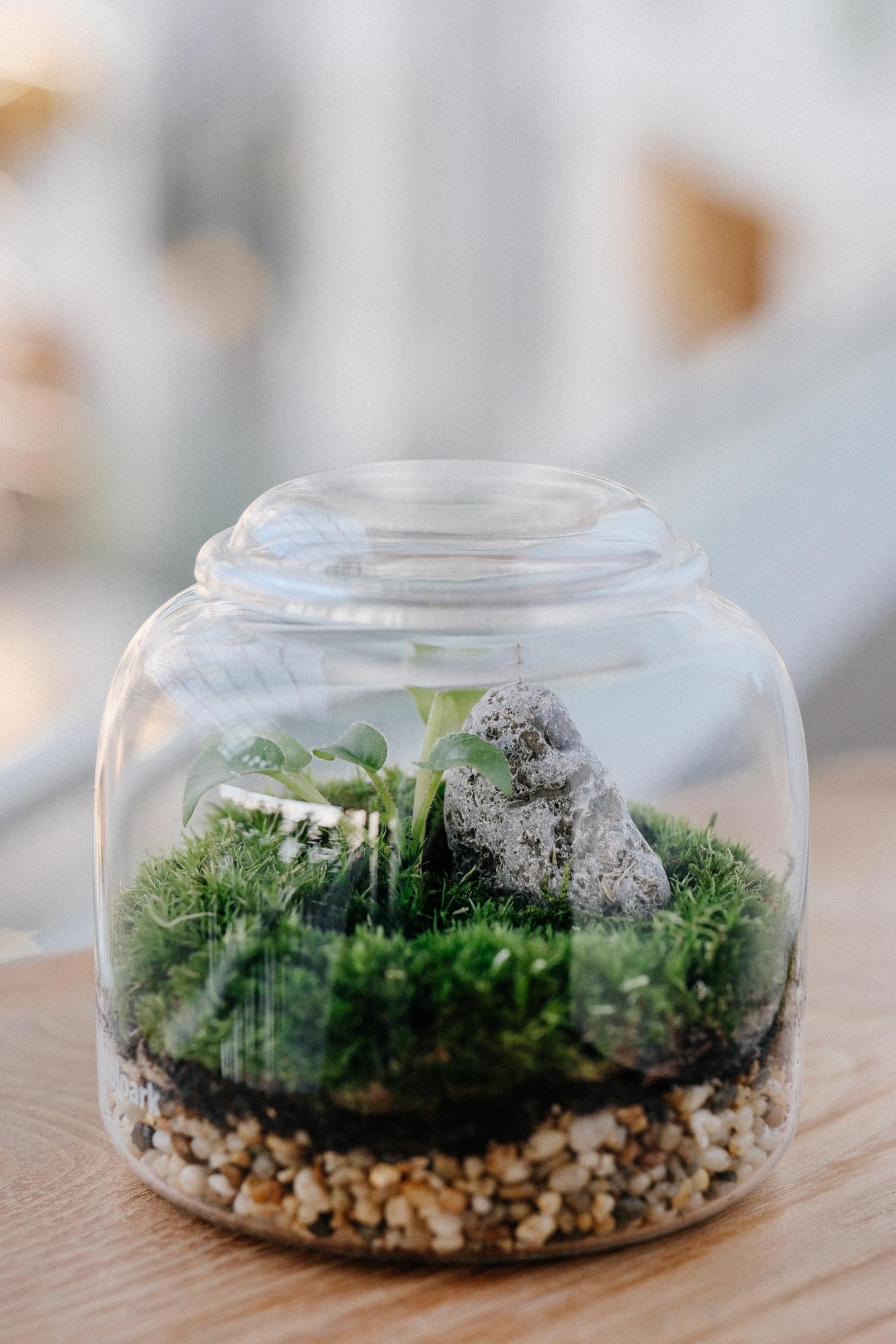 Моссариум "Пузырь"