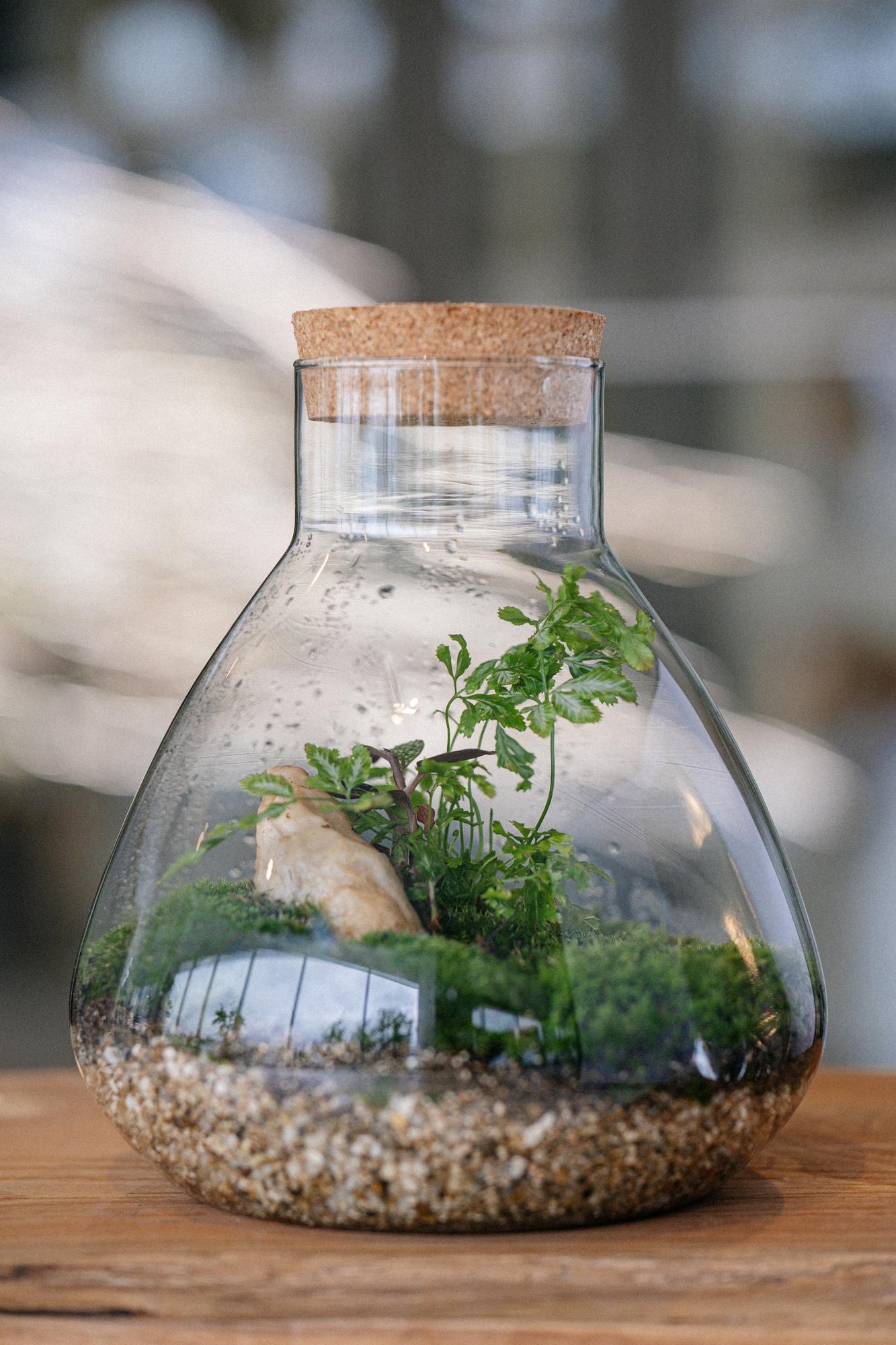 Лес в стекле Flask