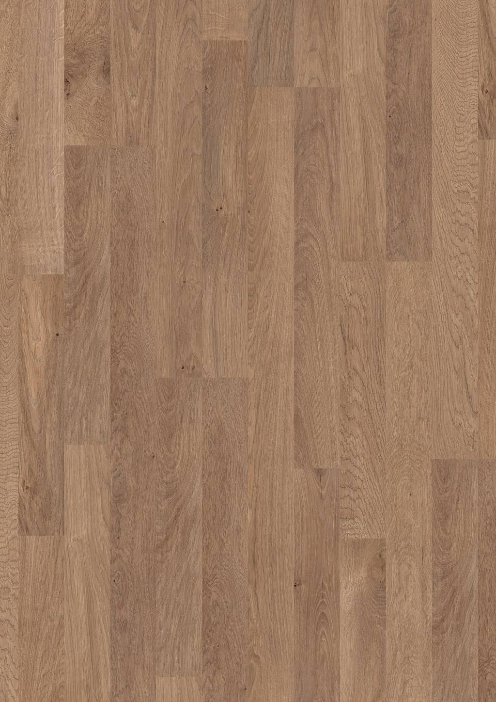 Ламинат Pergo Дуб Кашемир, 2-Х Полосный CLASSIC PLANK L0201-01798