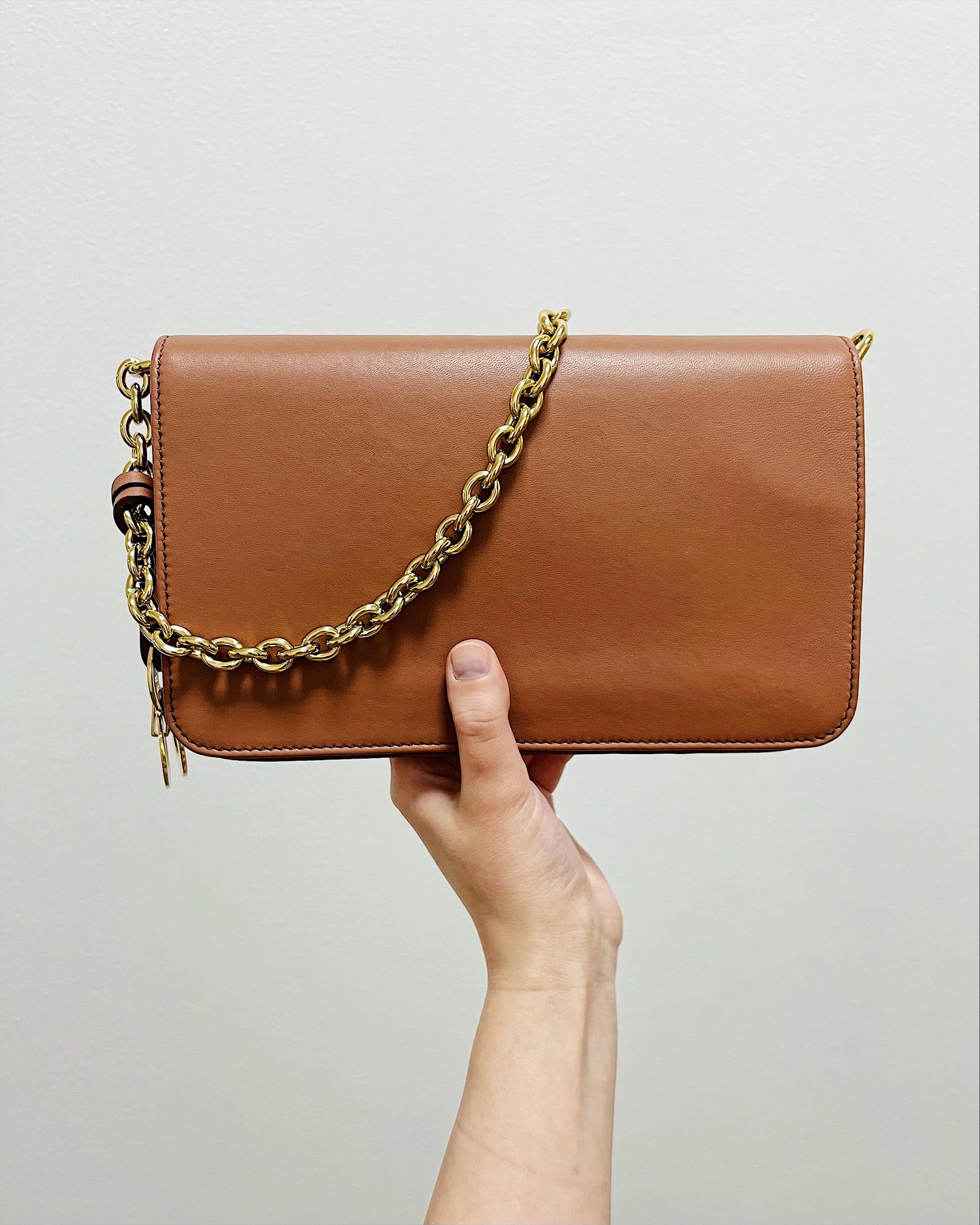 Сумка Dolce Gabbana