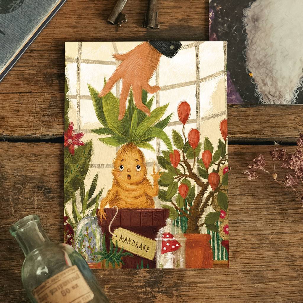 "Mandrake" postcard