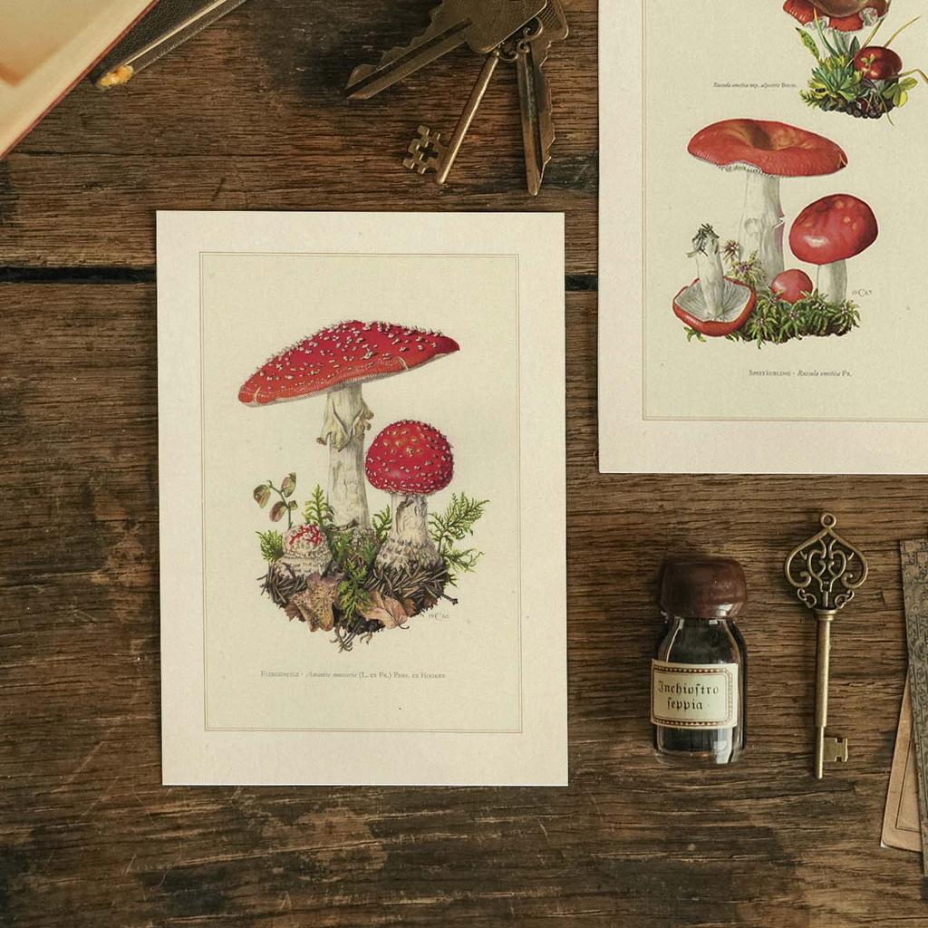 "Мухомор" почтовая открытка для посткроссинга