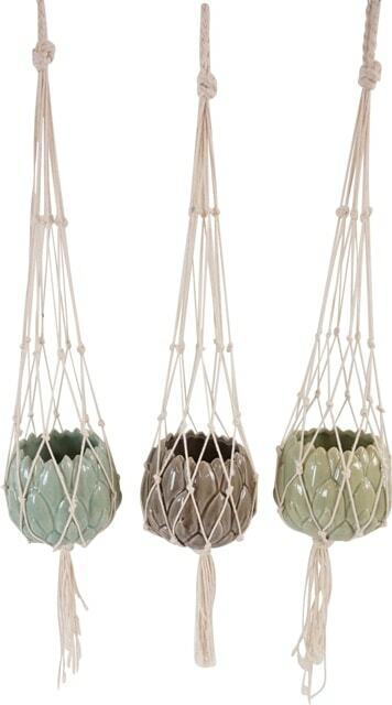 Артишок кашпо