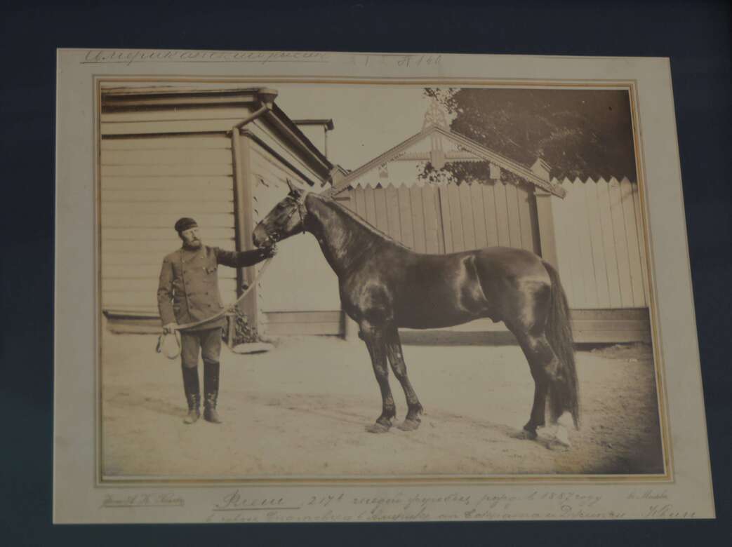А.К. Хомяк Лошадь и коневод  1900