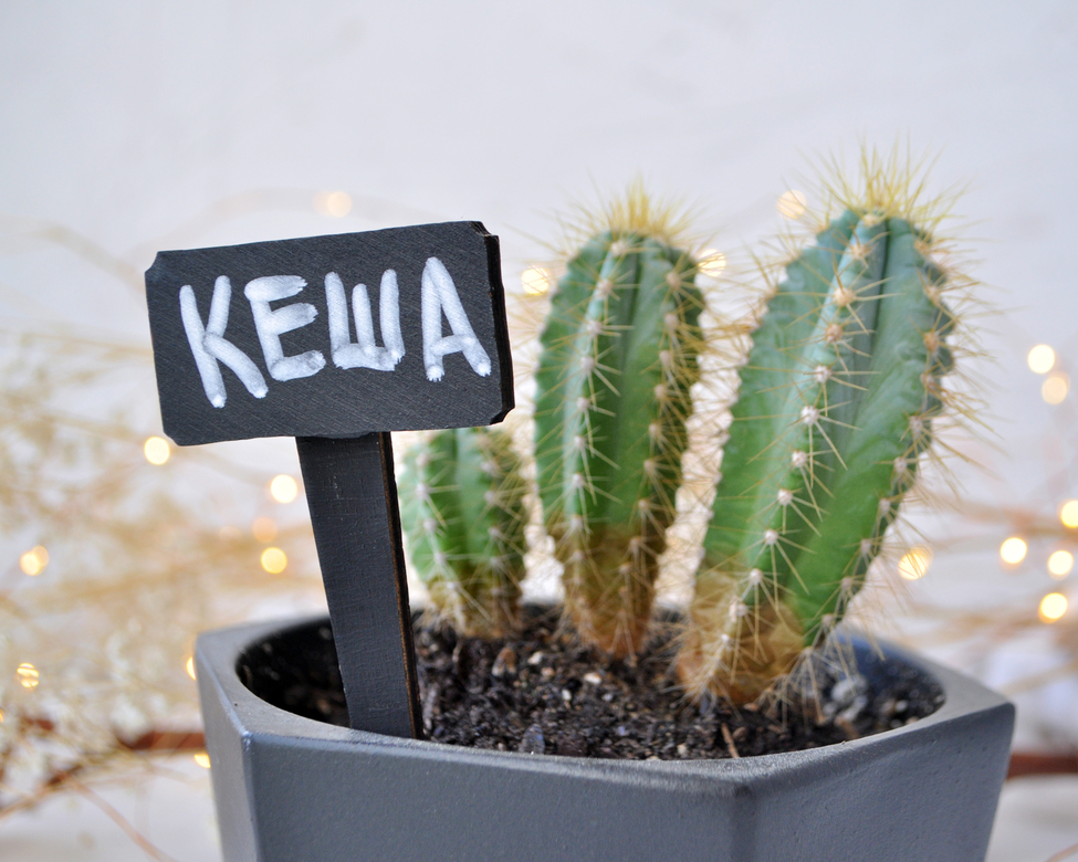 Меловые таблички-колышки