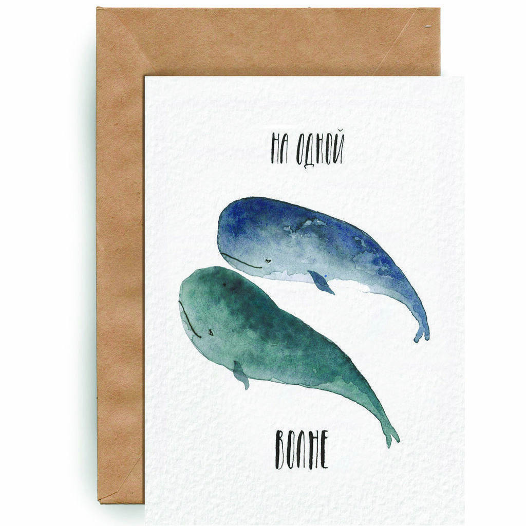 Киты "на одной волне"