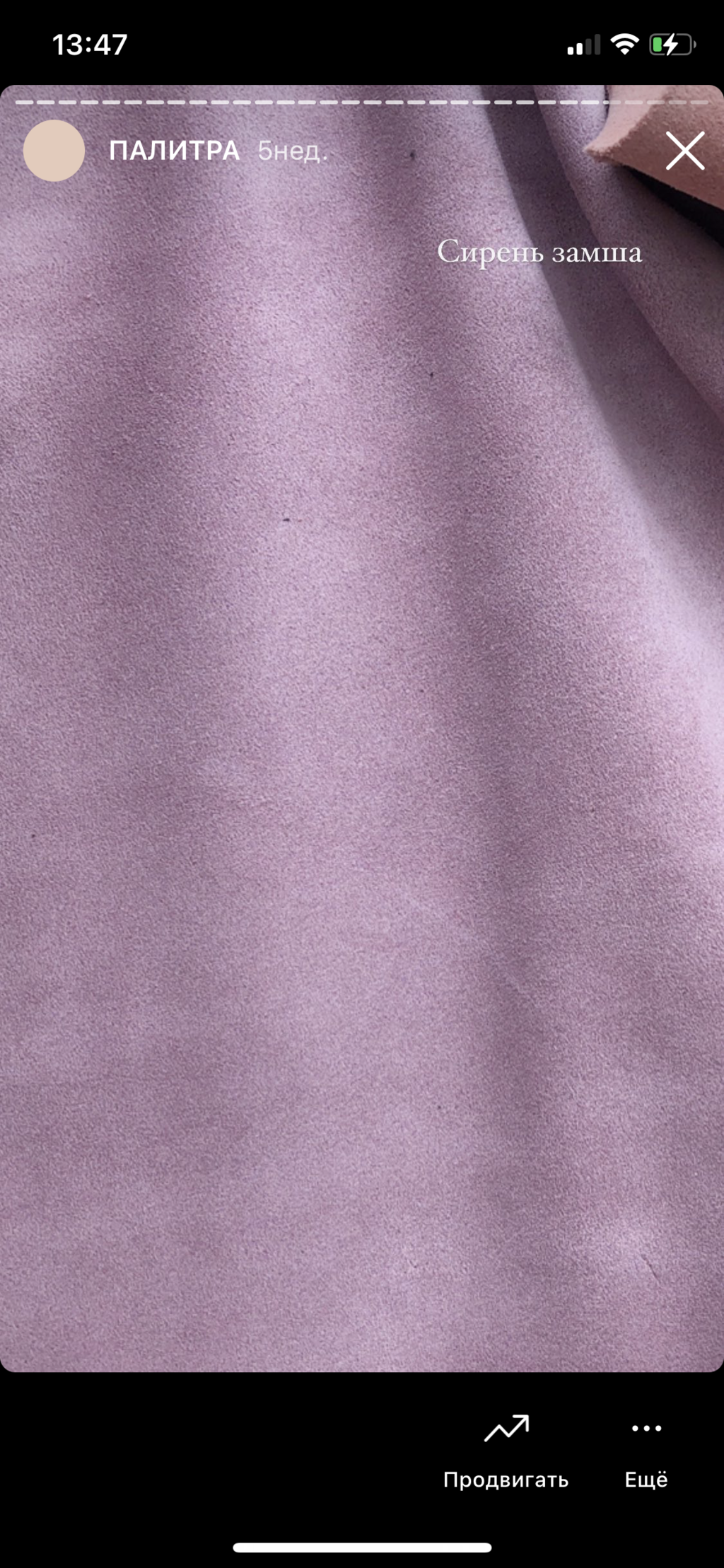 Сирень замша