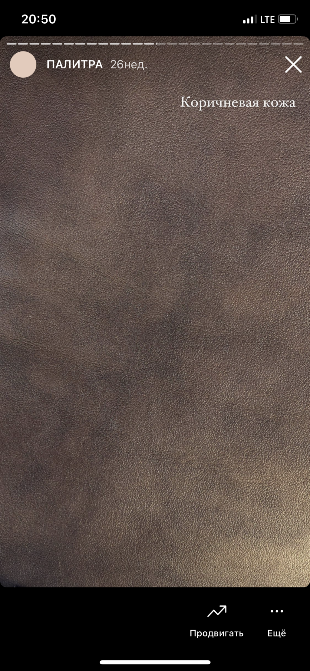 Коричневая кожа