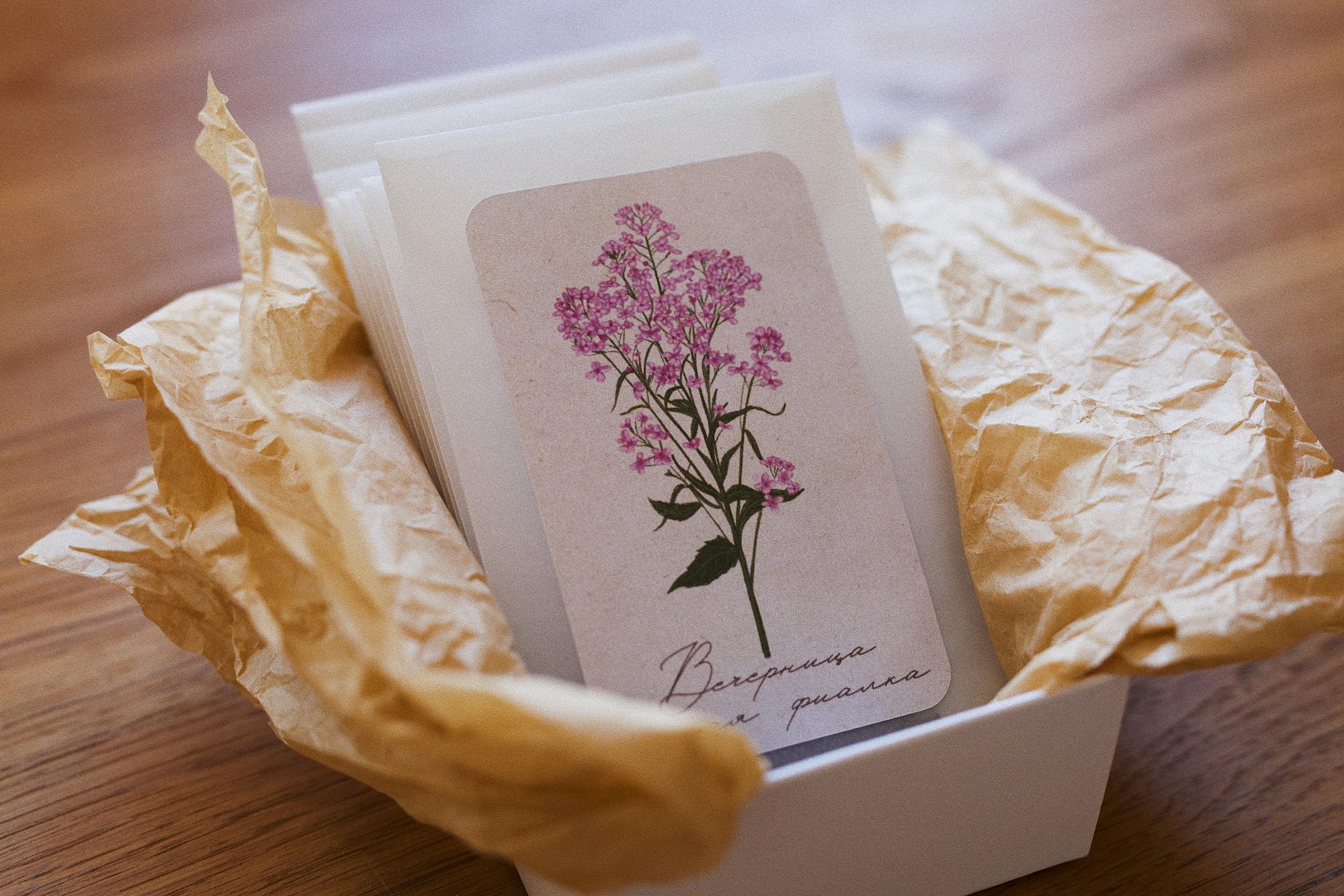 Цветочный набор семян №2