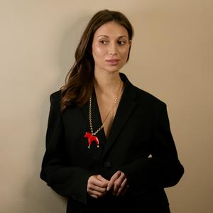 Кулон лошадка красная звезда месяц золотая цепь фарфор 2026