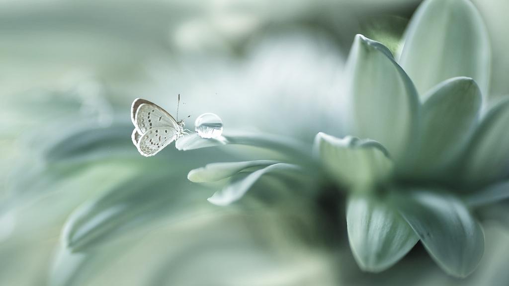 Курс-интенсив в Москве