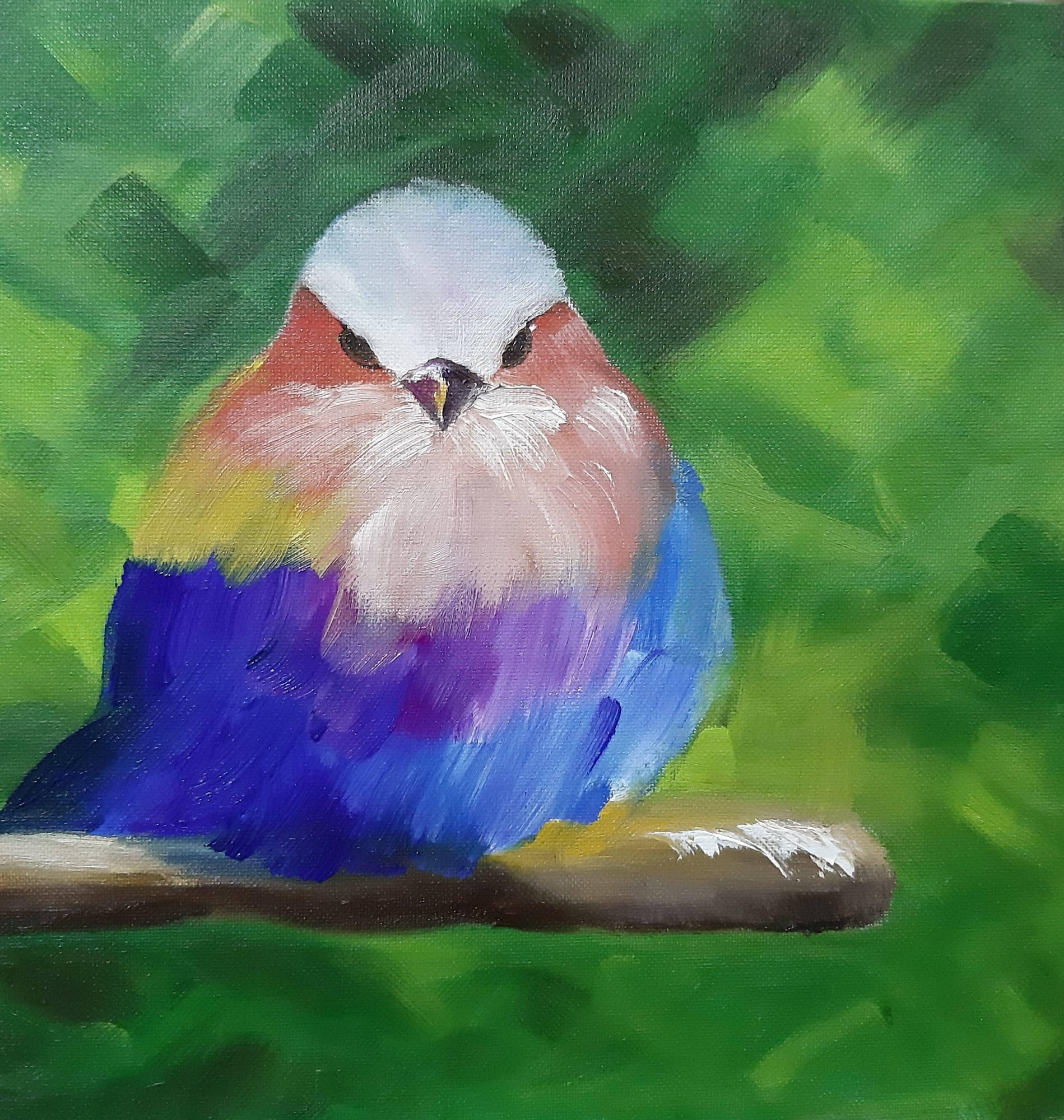 Картина Яркий нахохлик