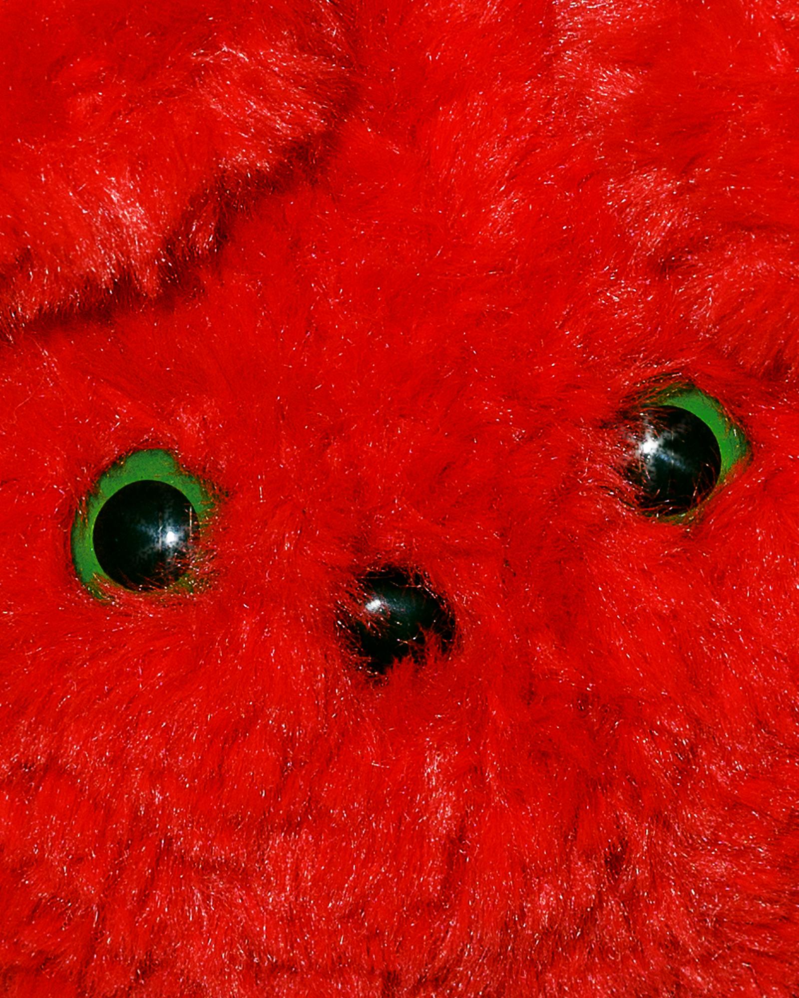 DOG BAG___ СУМОЧКА СОБАЧКА