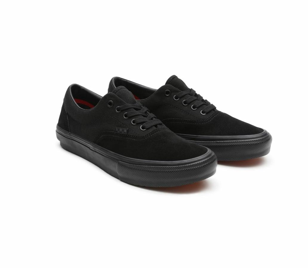 кеды Vans Skate Era Black/Black
