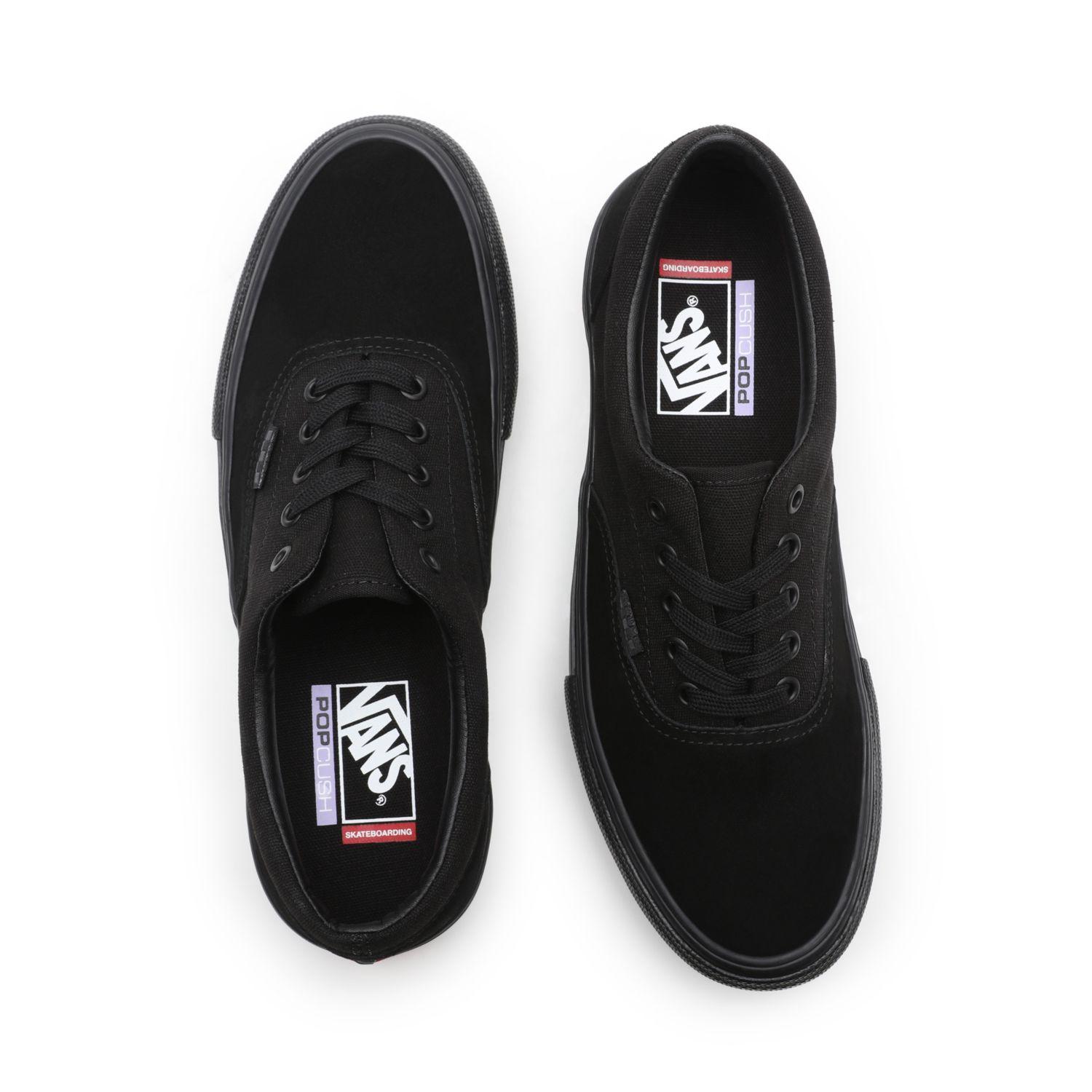 кеды Vans Skate Era Black/Black