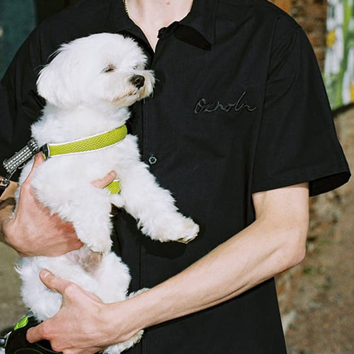 рубашка oznoln PPC Hawaiian Shirt Dusty Blue