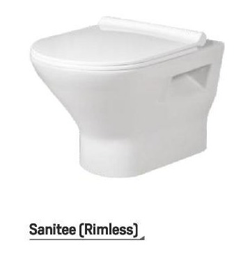 SANITEE WALL HUNG N 3008