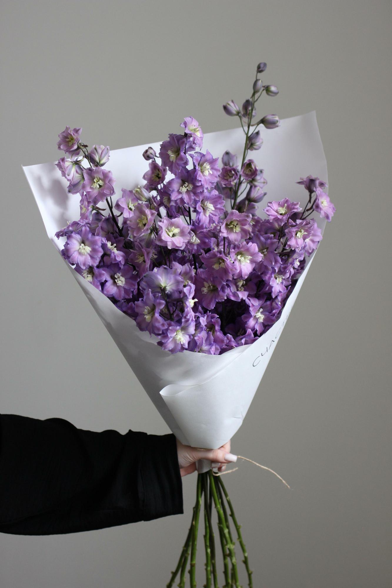 Моно из дельфиниума