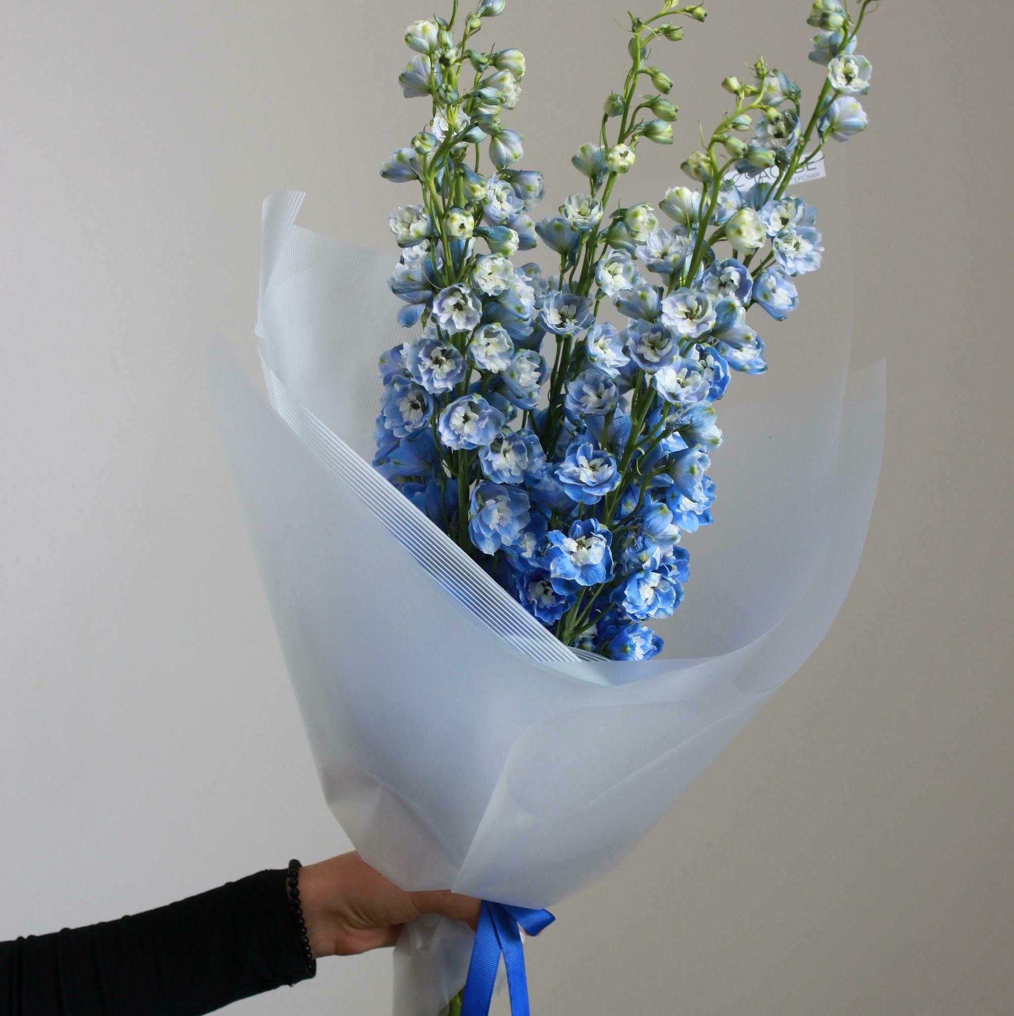 Моно из дельфиниума