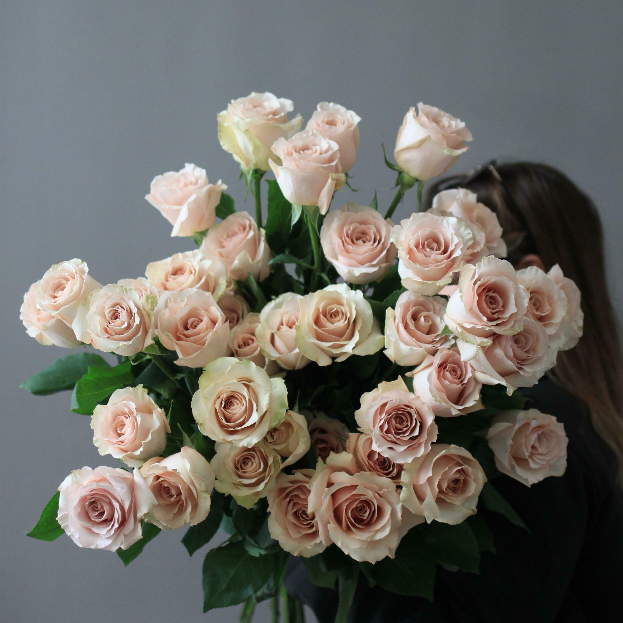 Моно роз Квик санд