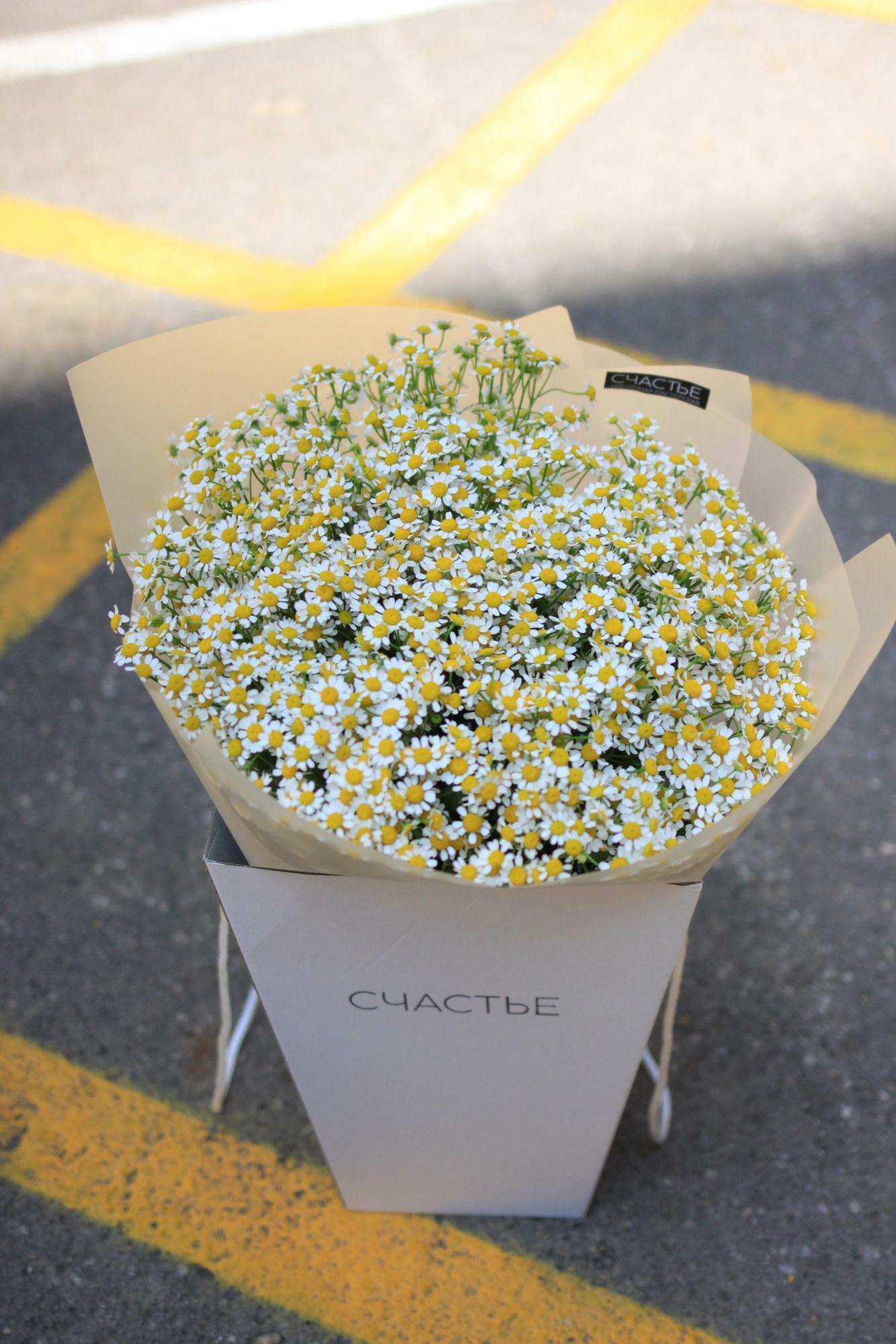 Букет из ромашек