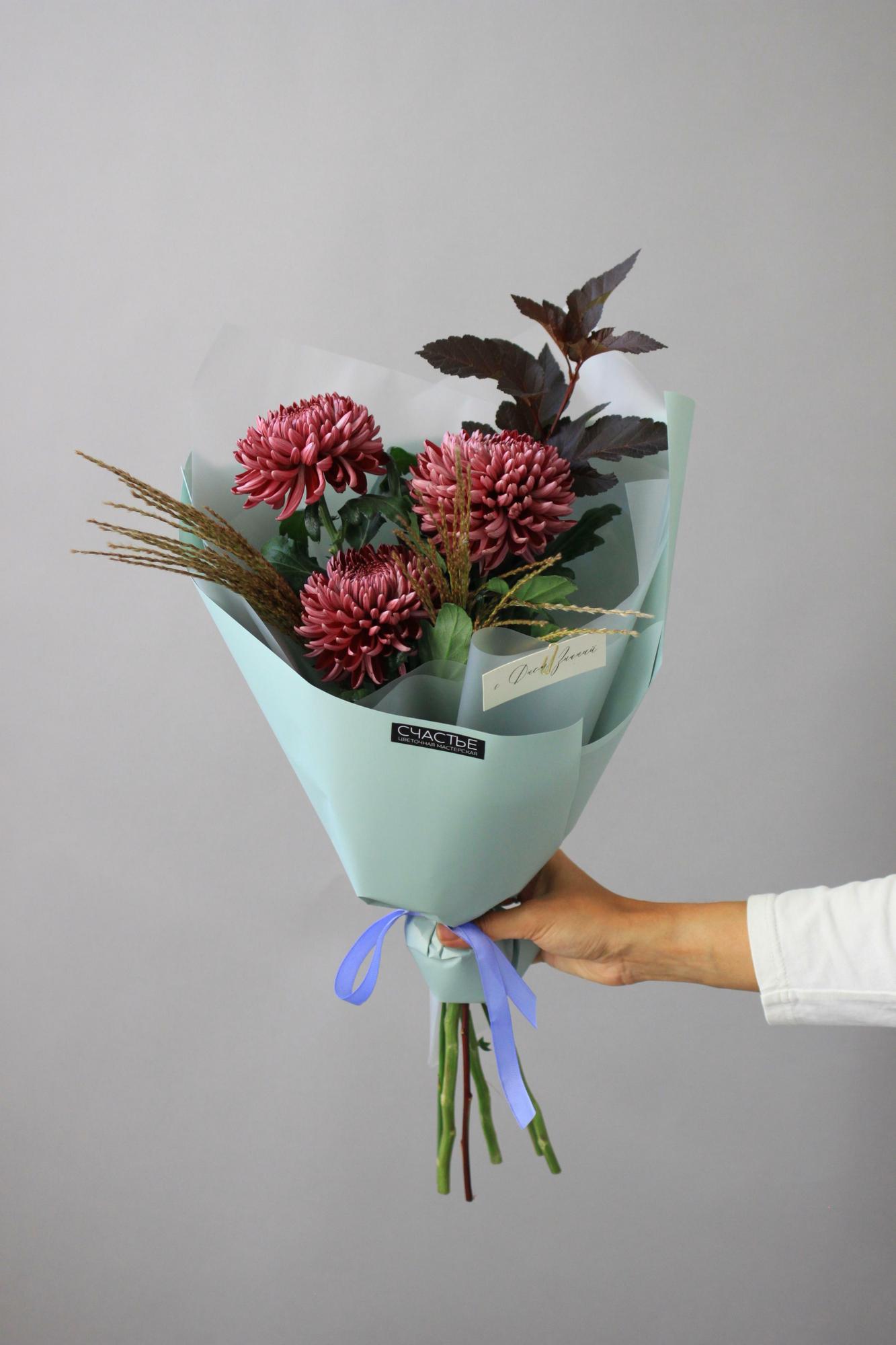 Винные хризантемы