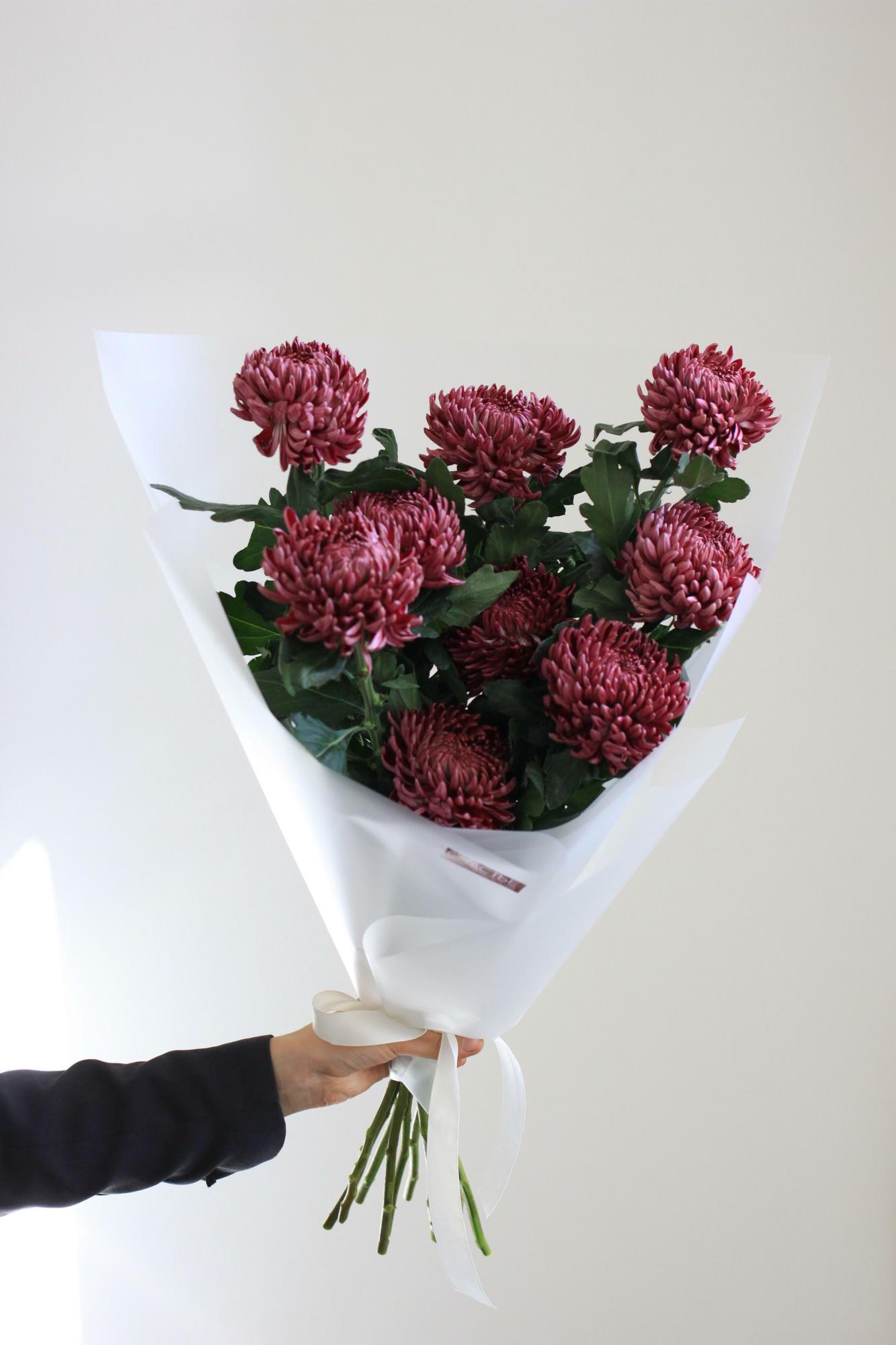 Винные хризантемы